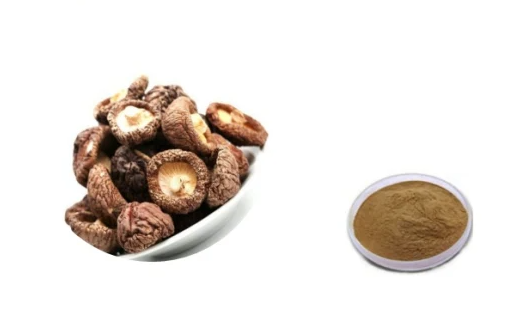 shiitake mushroom extract powder.png